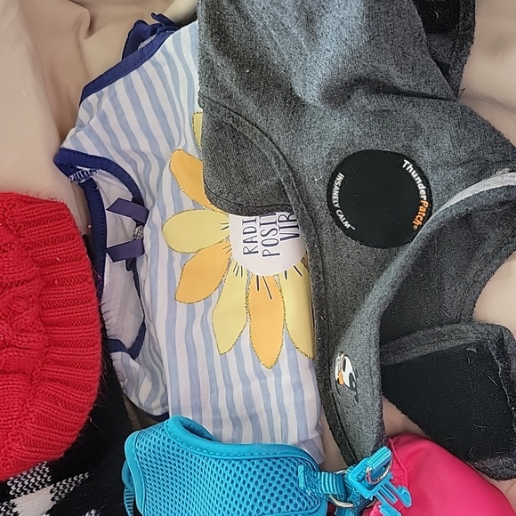 Small dog bundle - Picture 3 of 6